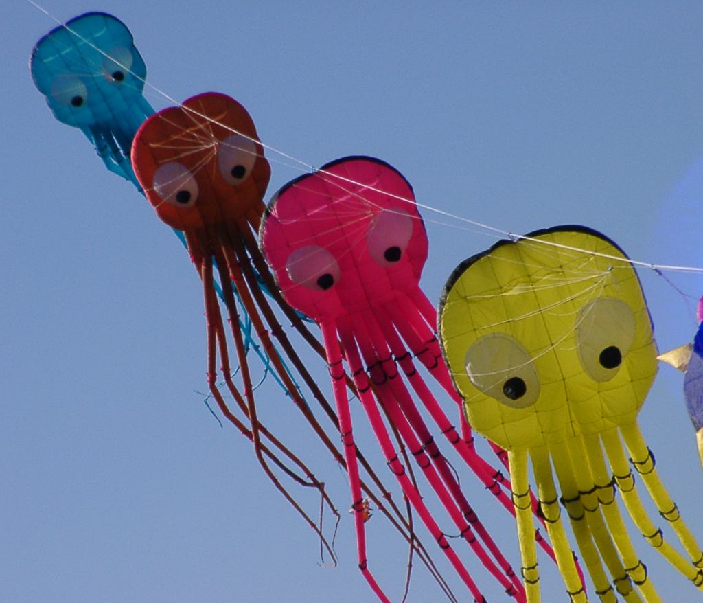 AUFWIND extreme Oktopus